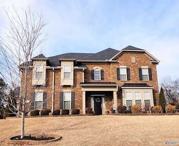 163 Sougahatchee Drive New Market, AL 35761