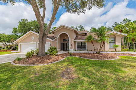 3672 Windber Blvd Palm Harbor, FL 34685