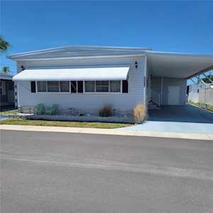 34513 Rose Dr N Pinellas Park, FL 33781
