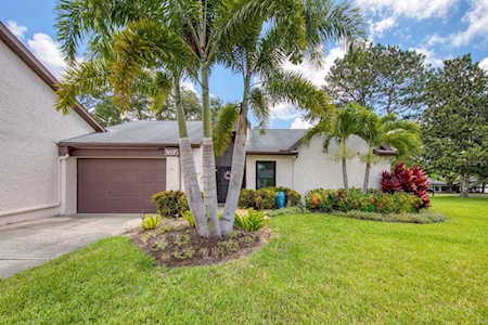3695 Ridgemont Ct Palm Harbor, FL 34684