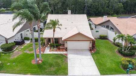 5560 Greyston St Palm Harbor, FL 34685