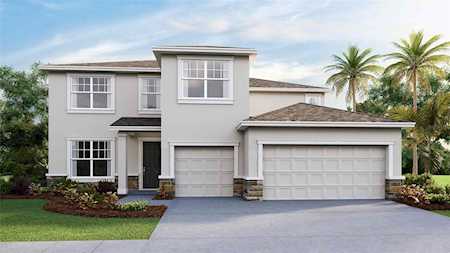 23216 Pachino WAY Lutz, FL 33549
