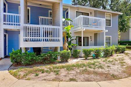 2480 Cypress Pond Rd #707 Palm Harbor, FL 34683