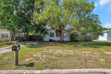 718 Loquat Dr Tarpon Springs, FL 34689