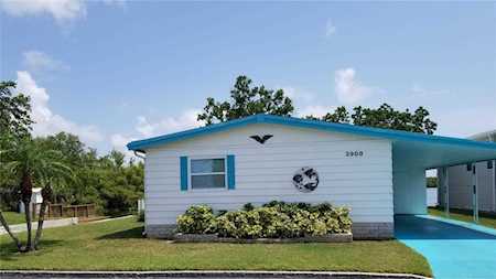 3908 Bywater Dr Holiday, FL 34691