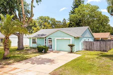 3142 Carlsbad St New Port Richey, FL 34655