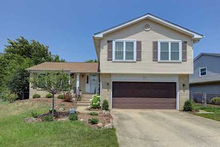 932 Pheasant Walk Dr Schaumburg, IL 60193