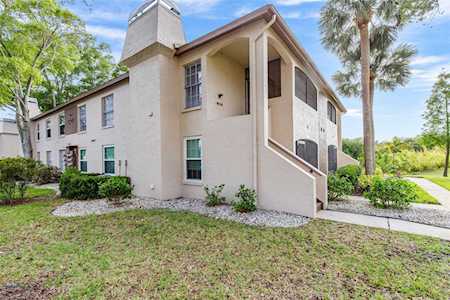 3020 Bonaventure CIRCLE #202 Palm Harbor, FL 34684
