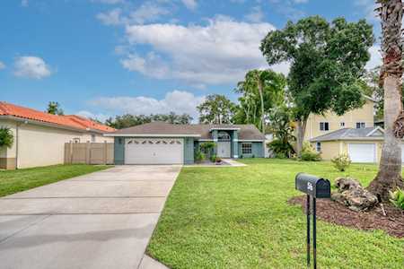 56 Citrus Dr Palm Harbor, FL 34684
