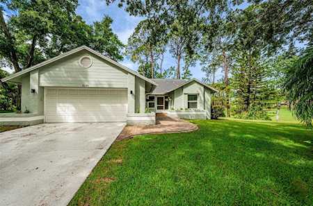 3180 Pine Forest Ct Palm Harbor, FL 34684
