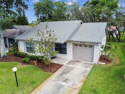 11513 Scotch Pine Dr New Port Richey, FL 34654
