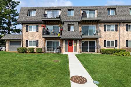 900 S Plum Grove Rd #115 Palatine, IL 60067