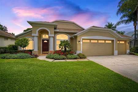 9905 Woodbay Dr Tampa, FL 33626