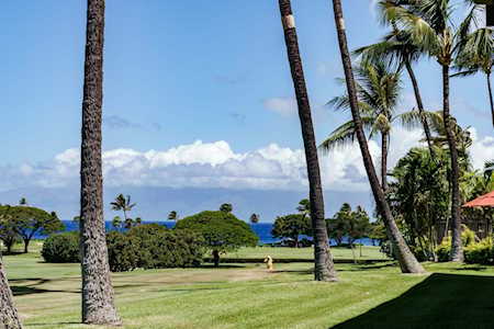 2661 Kekaa Dr #A-107 Lahaina, HI 96761
