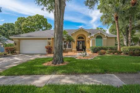 1857 Wood Thrush WAY Palm Harbor, FL 34683