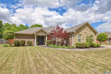 119 Bucks Pocket Drive New Market, AL 35761