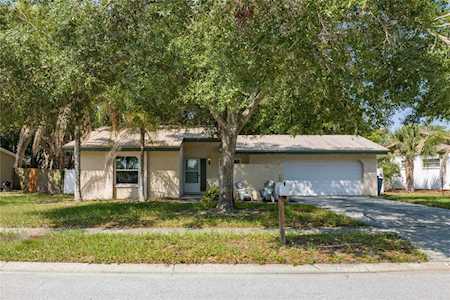3971 Orchard Hill CIRCLE Palm Harbor, FL 34684