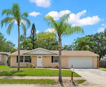 2978 Hanna Ct Palm Harbor, FL 34684
