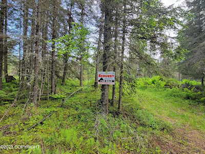 2631&2629 Bluebell Ln Kenai, AK 99611