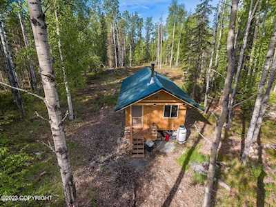 48880 S Silver Salmon Dr Willow, AK 99688