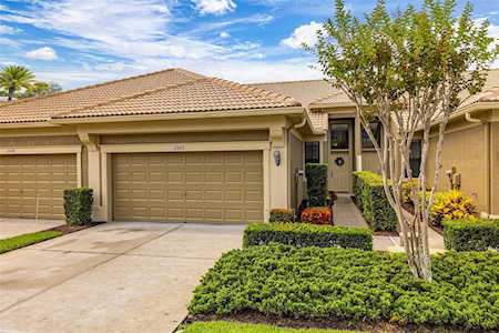 2522 Silverback Ct Palm Harbor, FL 34684