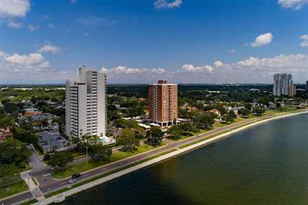 4141 Bayshore Blvd #1205 Tampa, FL 33611