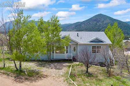 136 Oakdale Drive Palmer Lake, CO 80133