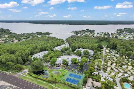 2599 Dolly Bay Dr #308 Palm Harbor, FL 34684