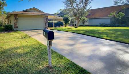 316 N Bay Hills Blvd Safety Harbor, FL 34695