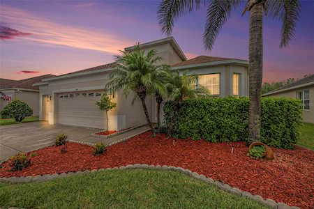 3124 Donington Castle Ln Land O Lakes, FL 34638