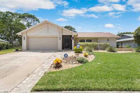 2632 Camille Dr Palm Harbor, FL 34684