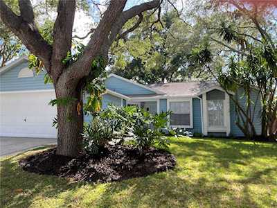 1467 Noell Blvd Palm Harbor, FL 34683