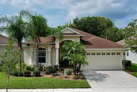 20406 Falling Rock Dr Land O Lakes, FL 34638