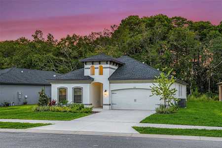 11443 Weaver Hollow Rd New Port Richey, FL 34654