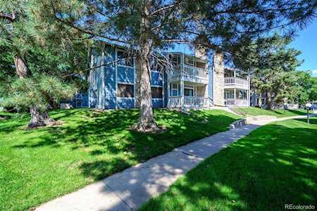 8335 Fairmount Dr #203 Denver, CO 80247