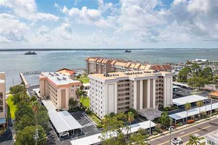 622 Edgewater Dr #524 Dunedin, FL 34698