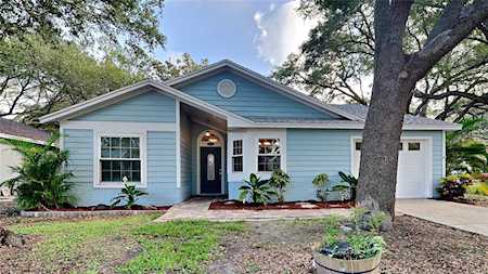 1484 Loman Ct Palm Harbor, FL 34683