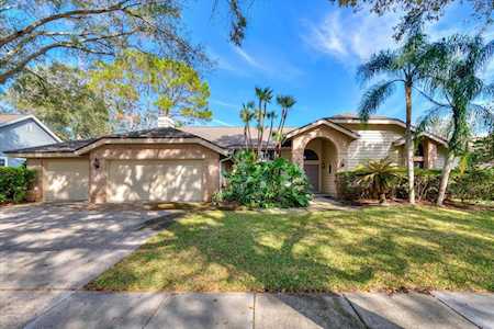 2976 Elysium WAY Clearwater, FL 33759