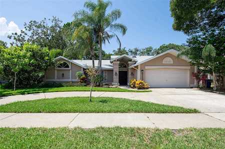 1583 Mcauliffe Ln Palm Harbor, FL 34683