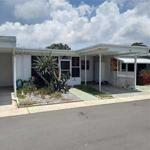 13940 Anona Heights Dr #87 Largo, FL 33774
