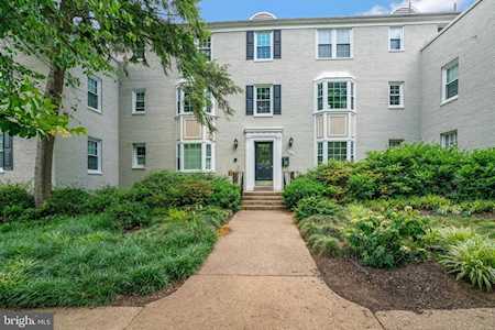 806 S Arlington Mill Dr #301 Arlington, VA 22204