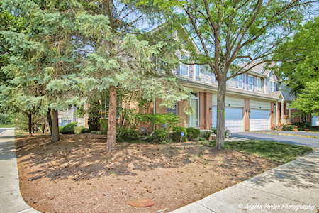 46 N Fortwood Ct #46 Palatine, IL 60067