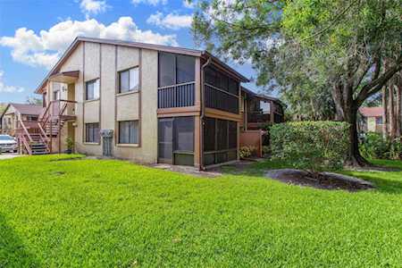 2360 Newburg Ln #B Safety Harbor, FL 34695