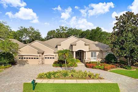 236 Highland Woods Dr Safety Harbor, FL 34695