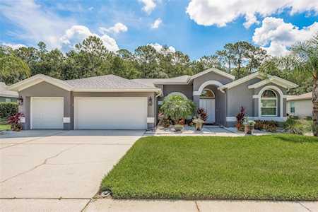 2619 Appaloosa Trl Palm Harbor, FL 34685