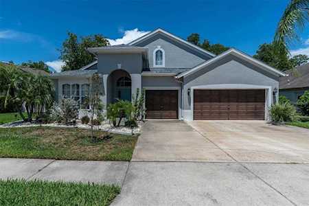 1508 Tawnyberry Ct Trinity, FL 34655