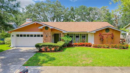 32 Bishop Creek Dr Safety Harbor, FL 34695