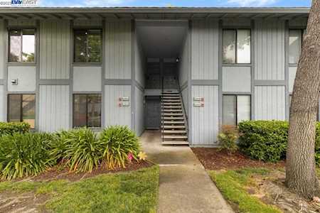 6290 Joaquin Murieta Ave #A Newark, CA 94560