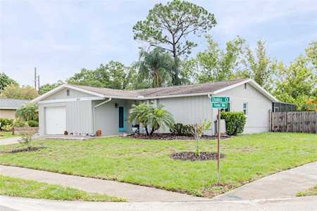 1015 Chablis Ct Dunedin, FL 34698
