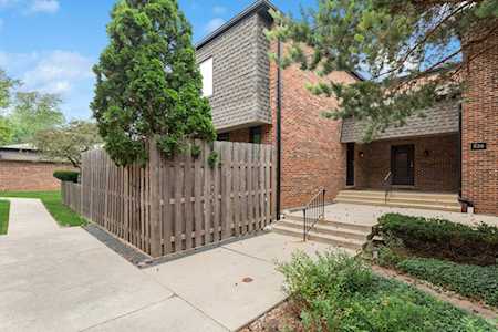 526 W Northwest Hwy #A Palatine, IL 60067